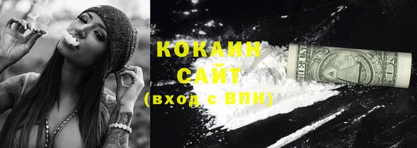 стаф Гусь-Хрустальный