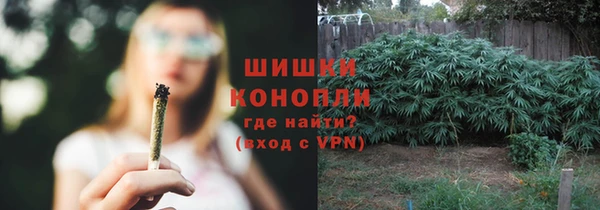 стаф Гусь-Хрустальный