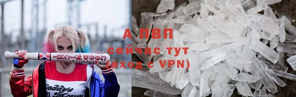 стаф Гусь-Хрустальный