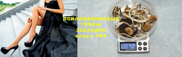 стаф Гусь-Хрустальный