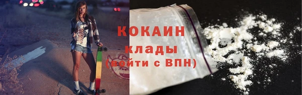 стаф Гусь-Хрустальный