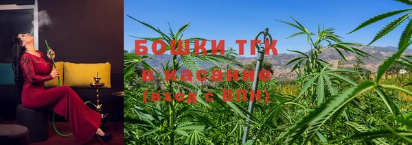 стаф Гусь-Хрустальный